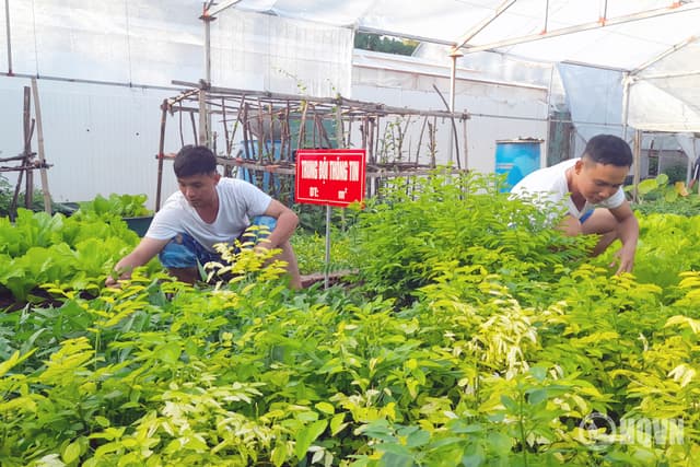 Bảo đảm hậu cần tại chỗ trên đảo Sinh Tồn