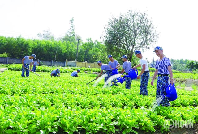 Chủ động nguồn thực phẩm tại chỗ