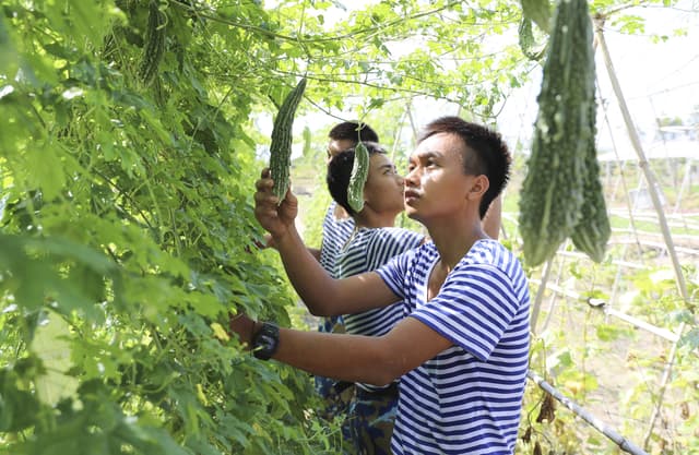 Đời sống được nâng cao nhờ tăng gia sản xuất giỏi