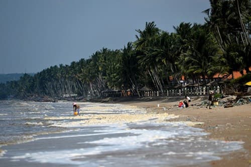 Bảo vệ môi trường biển hướng tới sự phát triển bền vững