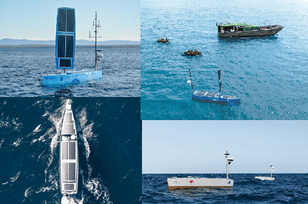 Bluebottle từ sinh vật biển đến USV