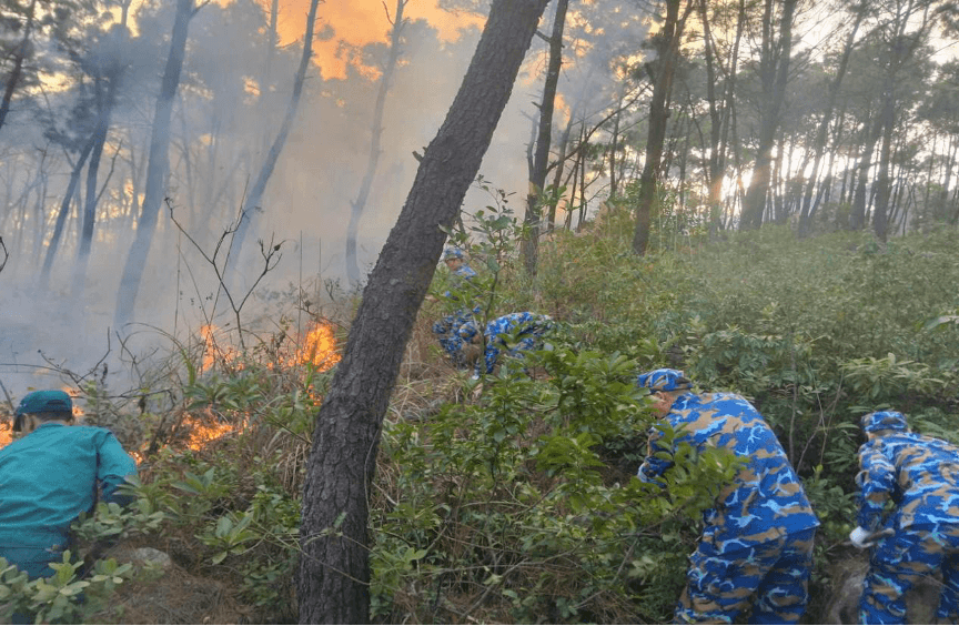 Trạm ra đa 485 tham gia chữa cháy rừng tại đặc khu Vân Đồn