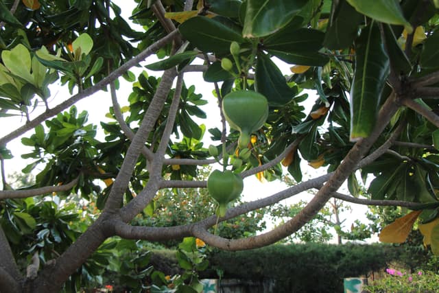 Lan tỏa thông điệp bảo vệ môi trường bằng những hành động thiết thực