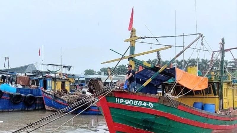 Hải Phòng thúc đẩy phát triển bền vững ngành thủy sản