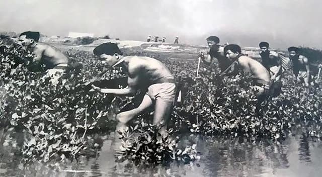 KỶ NIỆM 60 NĂM NGÀY TRUYỀN THỐNG LỮ ĐOÀN ĐẶC CÔNG HẢI QUÂN 126 (13/4/1966-13/4/2026)