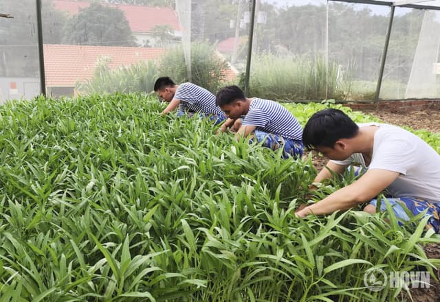 Vượt khó tăng gia trên đỉnh Núi Lớn