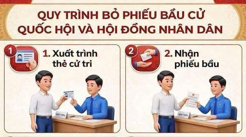 Quy trình bỏ phiếu bầu cử Quốc hội và Hội đồng nhân dân